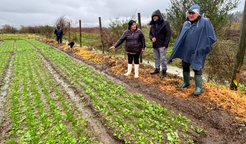 Plazo extendido para que agricultores cobren seguros por temporales