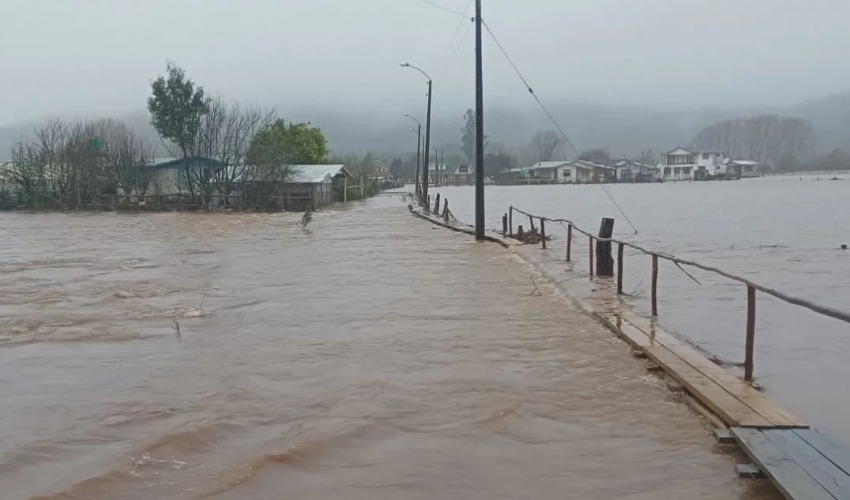 Decretan Alerta Roja en Arauco por crecida del río Pichilo