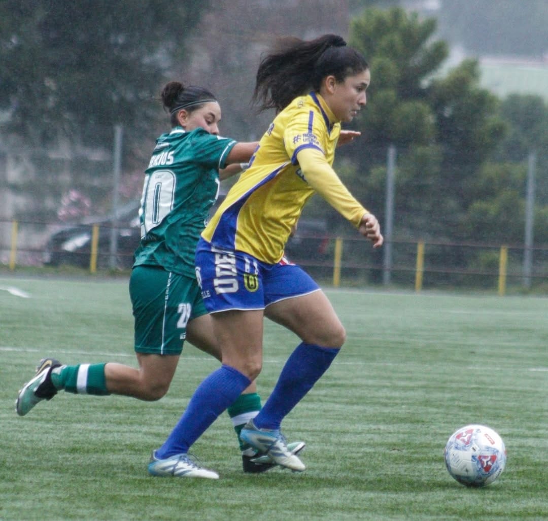UdeC tropieza en casa y Deportes Concepción asegura su paso a playoffs